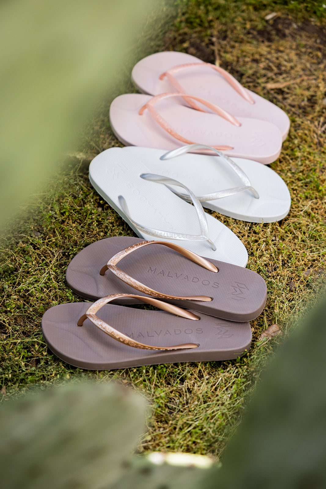 Mystery Gift - Malvados